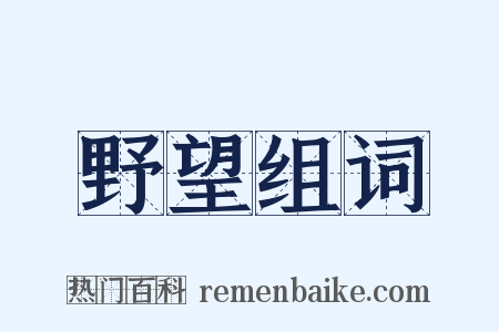 野望组词是什么意思的图片